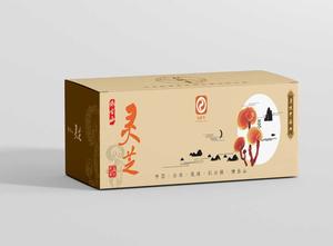 灵芝